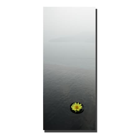 Zen Lotus By Kurt Shaffer-Gallery Wrapped 30x47 Canvas Art,30x47